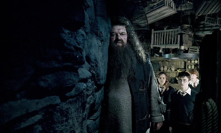  Author J.K. Rowling's use of dialect for the character of Hagrid helps distinguish him from other characters
