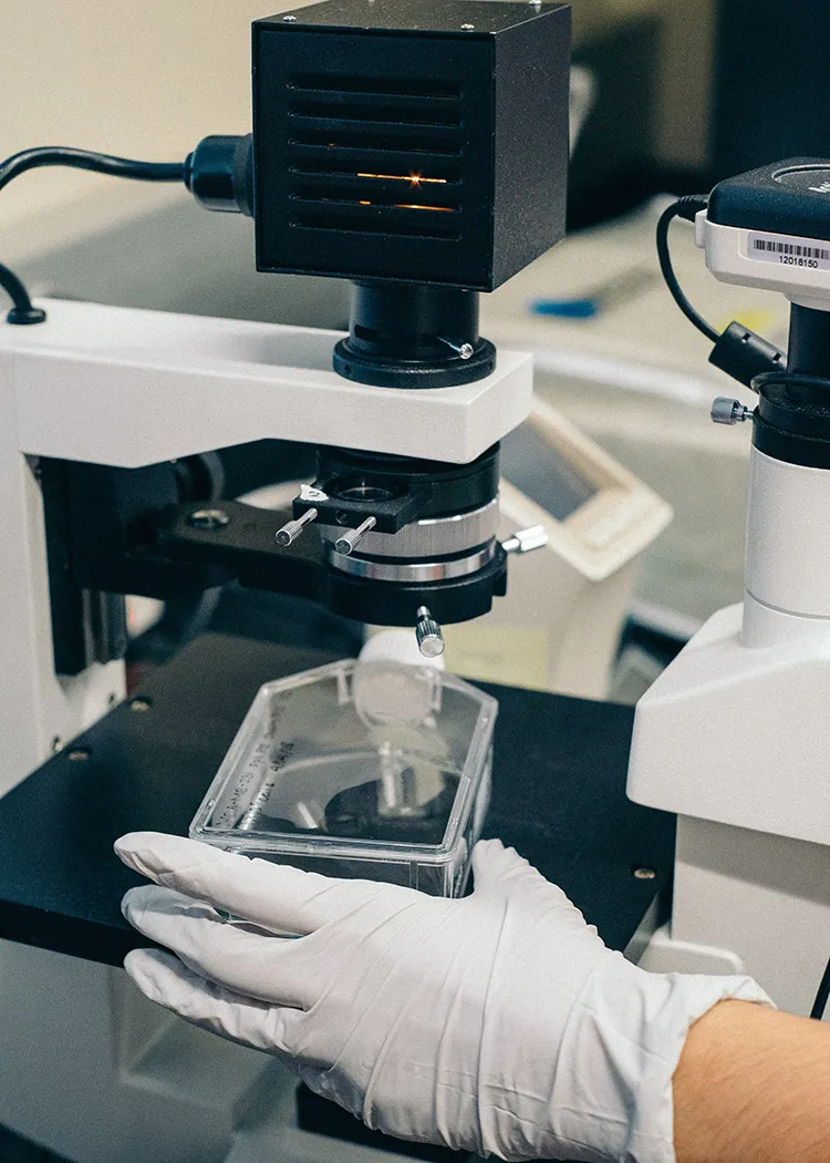 Be aware that a scientist's definition of recent research is different than a layperson's definition of it.
