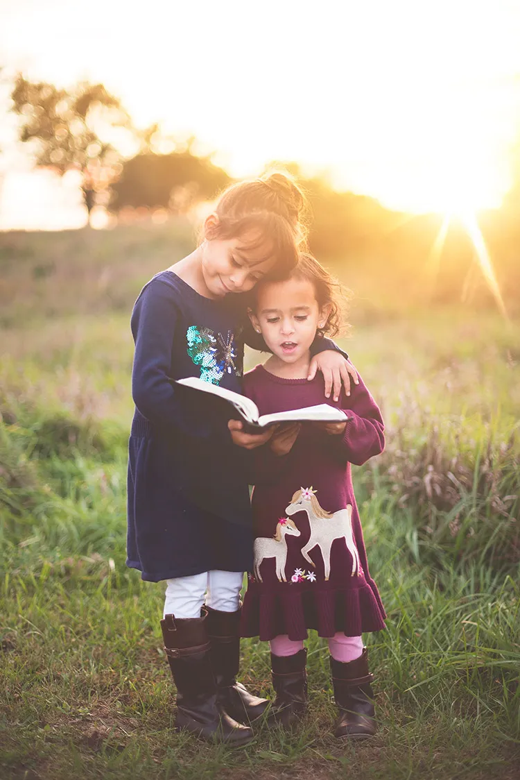 To have a realistic chance of being published, a children's book needs to meet the expectations of the publisher.