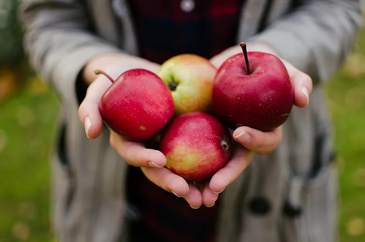 Below is a sample process analysis essay explaining how to make apple butter