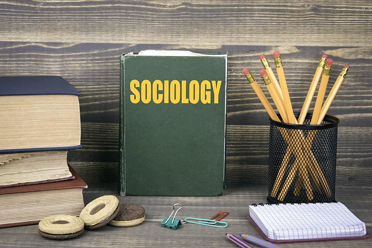 sociology research topics on culture