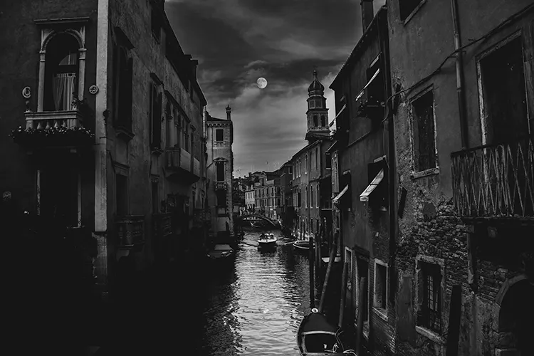 Although Bram Stoker created the seminal vampire tale, other novels have been written that define the genre's modern place in literature.
