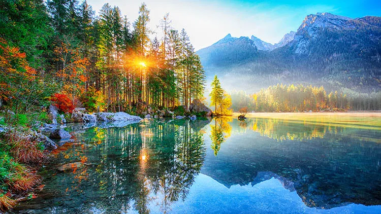 a beautiful lake surrounded by foliage