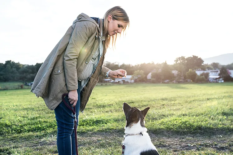 Person with a dog