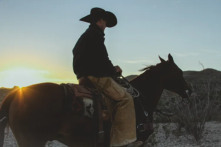 Cowboy on horseback