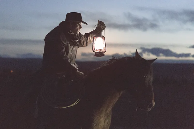 A cowboy searching