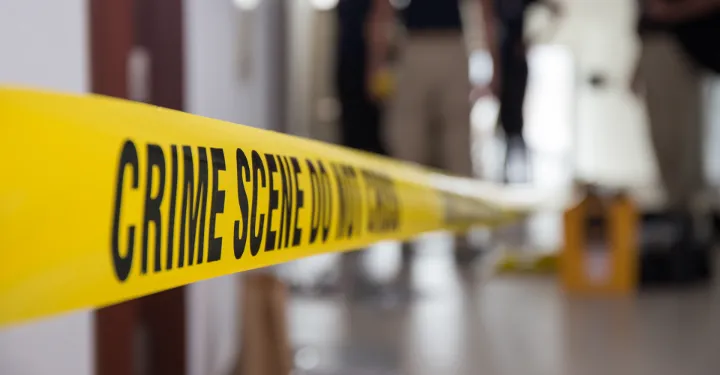 Find Your Next Crime Novel with CrimeBookJunkie
