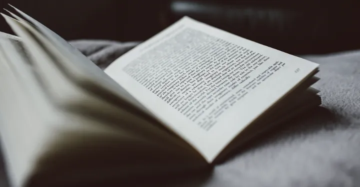 If You're an Independent Author, Check out Big Al's Books & Pals