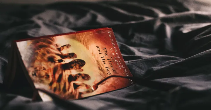 Everyone Judges a Book By Its Cover: How to Design Yours