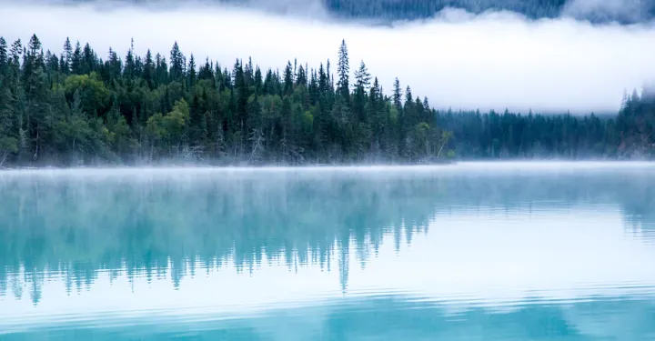 If You're a Nature Lover, You Need These Words in Your Vocabulary