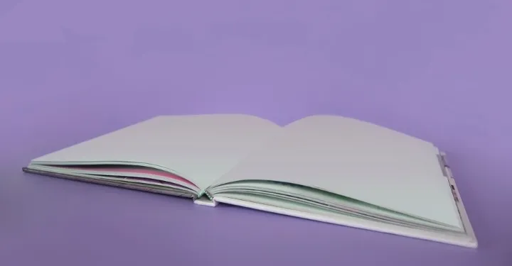 Indie Author's Guide to the Top 10 Self-Publishing Companies