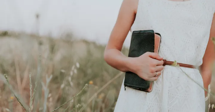 8 Tips on How to Read Emily Dickinson's Poetry