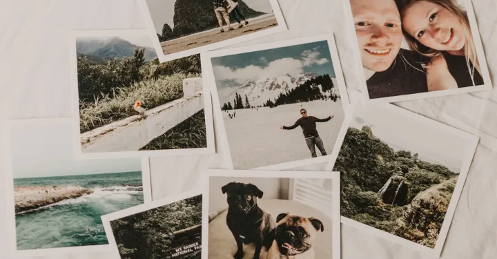 Free Image Resources for Your Design Needs