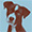 Urban Paw Website